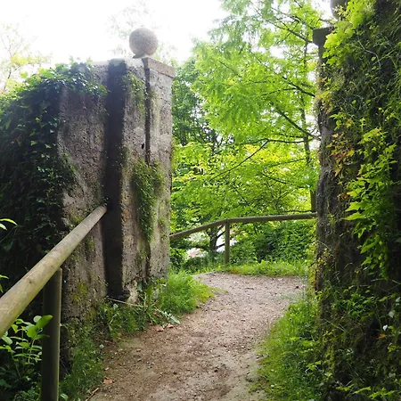 Burgvier In Der Burg