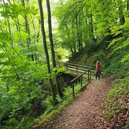 Apartmán Burgvier In Der Burg