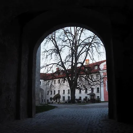 Burgvier Grosse In Der Burg